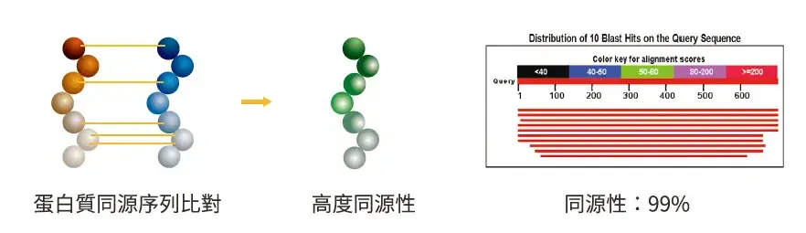 凌越生醫蛋白原料品質控管流程