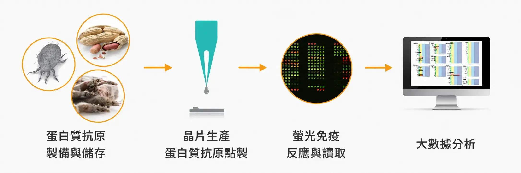 凌越生醫蛋白質晶片檢測流程,包含抗原製備、晶片點製、螢光免疫讀取與大數據分析